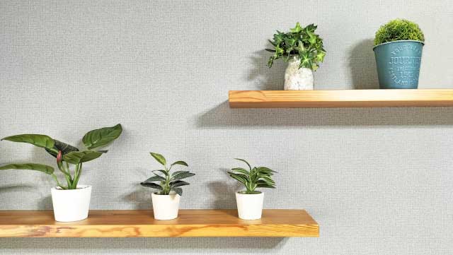 普段使いの棚も塗装いたします