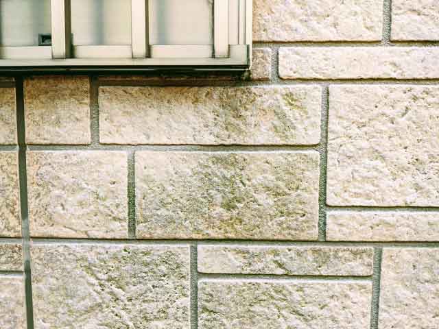 青カビも外壁塗装の塗り替えで改善